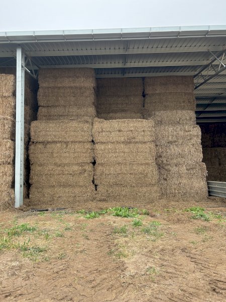 200mt Vetch Hay 8x4x3 Bales