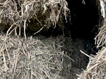 200mt Vetch Hay 8x4x3 Bales