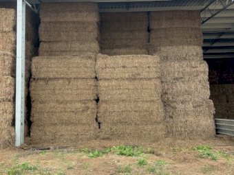 200mt Vetch Hay 8x4x3 Bales