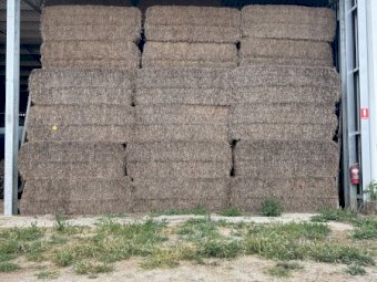 200mt Vetch Hay 8x4x3 Bales
