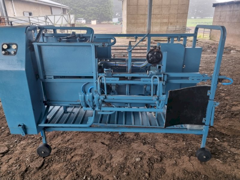 Peak Hill Sheep Handler with lead up race