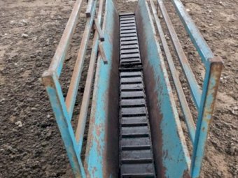 Peak Hill Sheep Handler with lead up race