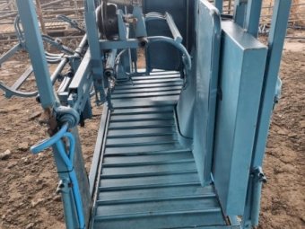 Peak Hill Sheep Handler with lead up race