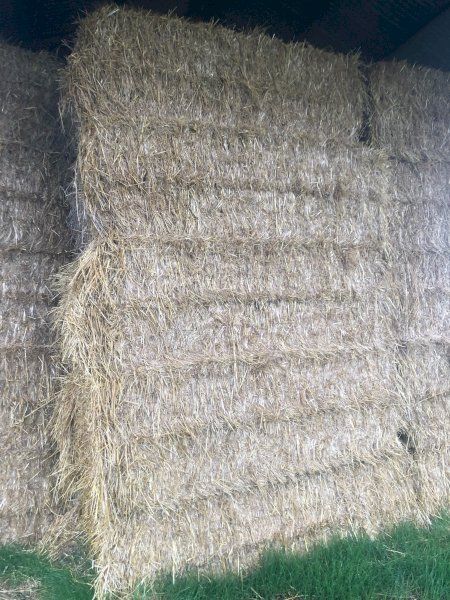 90 mt Clover/Wheat Hay