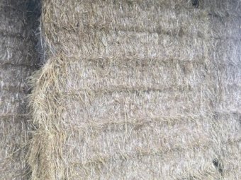 90 mt Clover/Wheat Hay