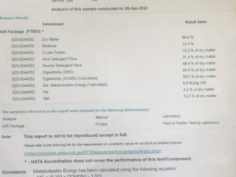 200mt Vetch Hay 640kg 8x4x3 Bales