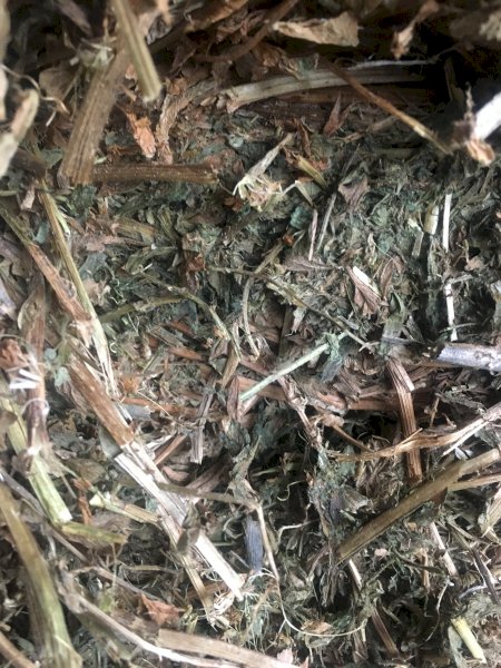 200mt Vetch Hay 640kg 8x4x3 Bales