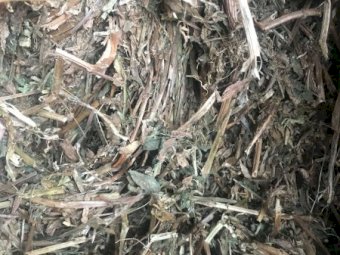 200mt Vetch Hay 640kg 8x4x3 Bales