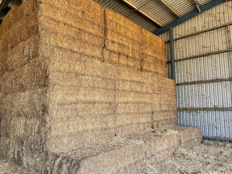 70mt Vetch Hay 620kg 8x4x3 Bales