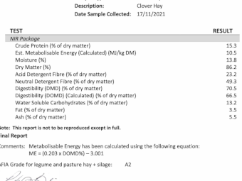 Clover Hay 8x4x3 Bales
