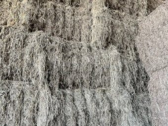 Clover Hay 8x4x3 Bales