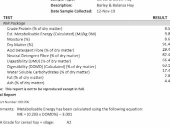 Balansa Clover and Barley Hay