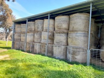 220 x Clover Hay 5x4 Round Bales
