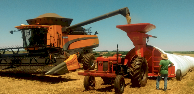 Pacifil Grain Bags - 9 x 100 mtr 250 Micron