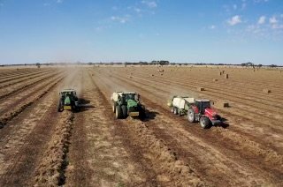 WANTED Standing Crops to Buy or on a Share Basis