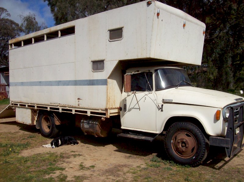 1975 International D1630 Horse Truck