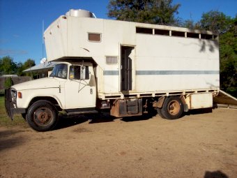 1975 International D1630 Horse Truck