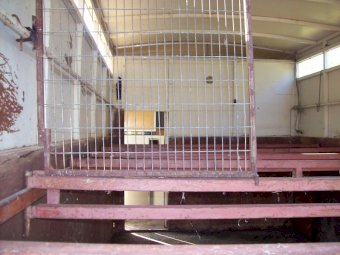 1975 International D1630 Horse Truck