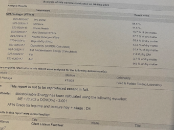 110mt Vetch Hay 500kg 8x4x3 Bales