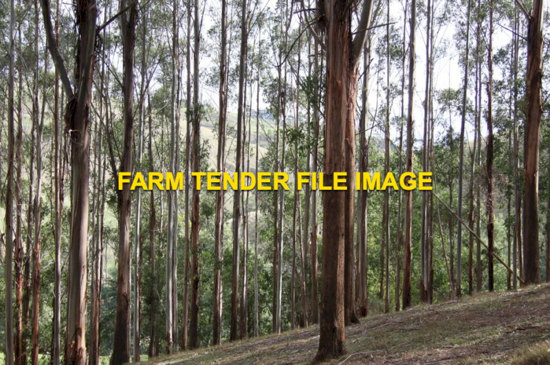 Ex Forestry Land for Lease