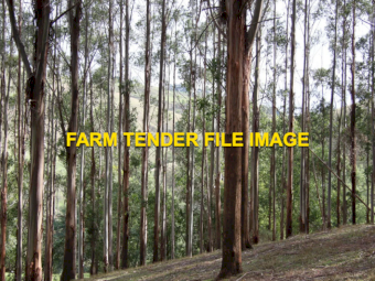 Ex Forestry Land for Lease