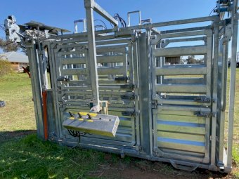 2023 Clipex Air Powered Cattle Crush