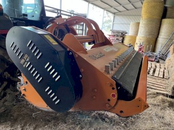 2021 BERTI TFB/M 200 Forestry Mulcher