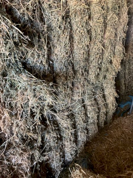 Lucerne Hay mixture of first and second cut