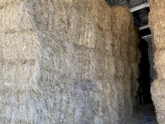 Lucerne Hay mixture of first and second cut