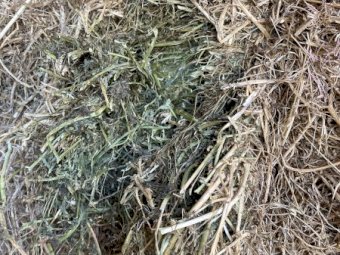 Lucerne Hay mixture of first and second cut