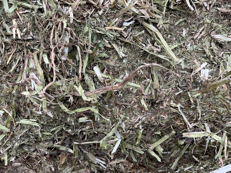 62 Bales of Clover Hay