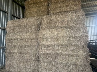 62 Bales of Clover Hay