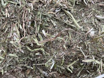 62 Bales of Clover Hay