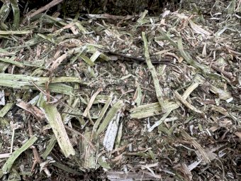 62 Bales of Clover Hay