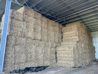 200mt Oaten Hay 8x4x3 Bales