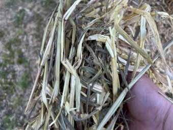 200mt Oaten Hay 8x4x3 Bales