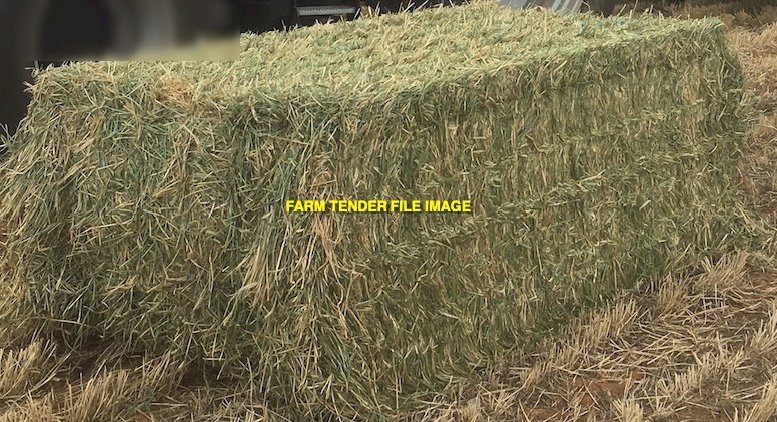 Barley Hay  8x4x3 Bales
