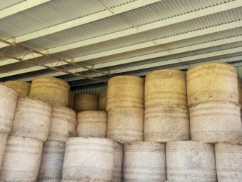 Lucerne Hay Second and third cut