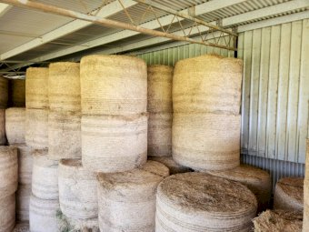 Lucerne Hay Second and third cut