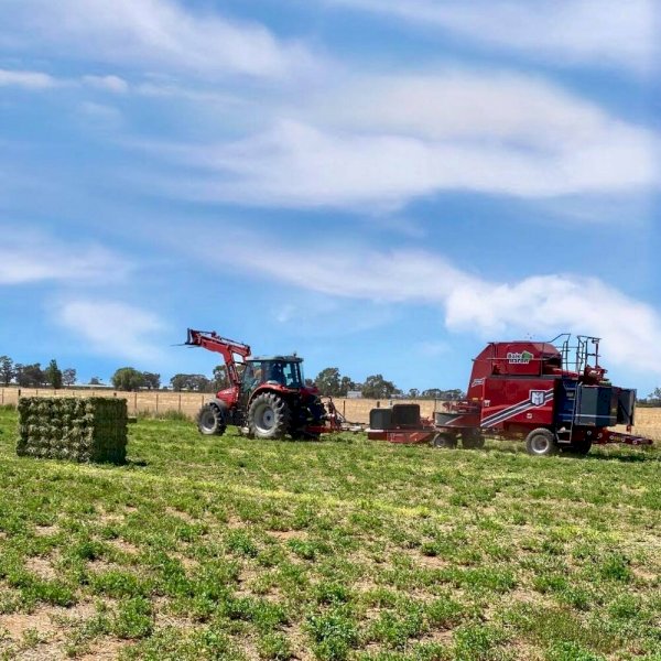 WANTED Reliable Bale Baron Contractor or Hire