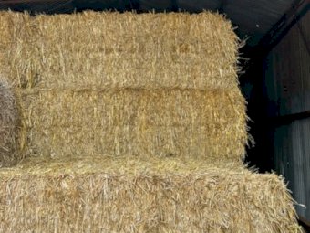 70mt Oaten Hay 500kg 8x4x3 Bales