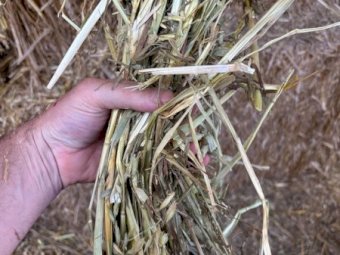 70mt Oaten Hay 500kg 8x4x3 Bales