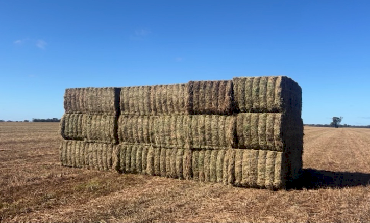 250mt Vetch Hay 8x4x3 Bales (New Season 23/24)