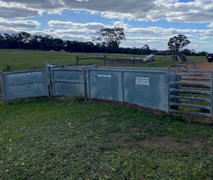 Arrowquip Sheep Yards