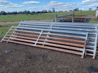 Arrowquip Sheep Yards