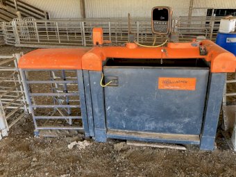 Gallagher Auto Drafter