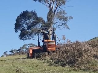 Fiat 605 Super Crawler Tractor