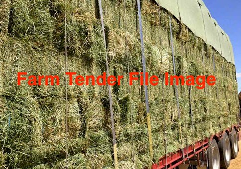 WANTED Lucerne Hay Small Squares