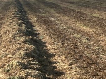 200mt Vetch Hay 8x4x3 Bales 610 kg Av (New Season 23/24)