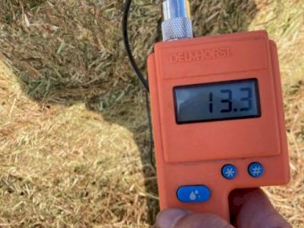 200mt Vetch Hay 8x4x3 Bales 610 kg Av (New Season 23/24)